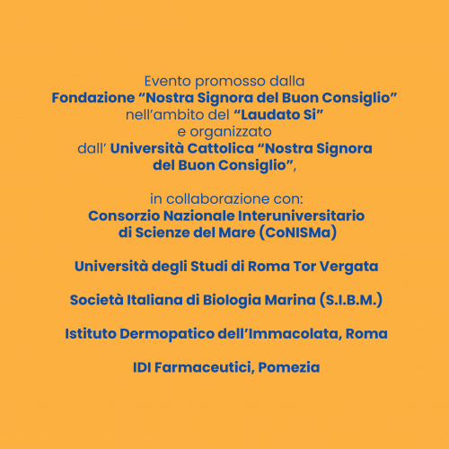 post per facebook+instagram (2).png