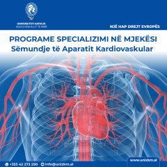 4. Cardiovascolare.png