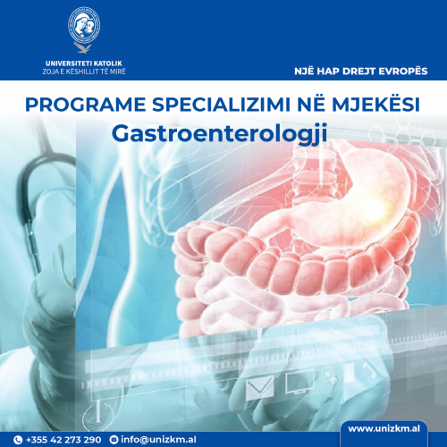 3. Gastro.png