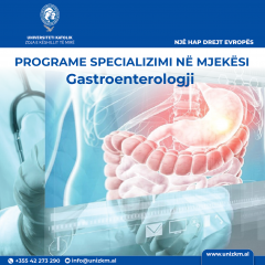 3. Gastro.png