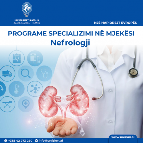 8. Nefrologia.png